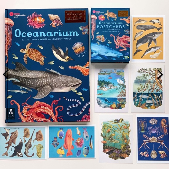 NEW Oceanarium Postcards by Teagan White and Loveday Trinick - Multicolor RARE - Picture 2 of 9